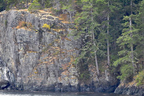 Melanie Heinrich Images - Alaska